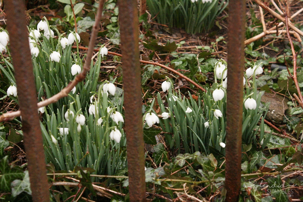 chipping sodbury 