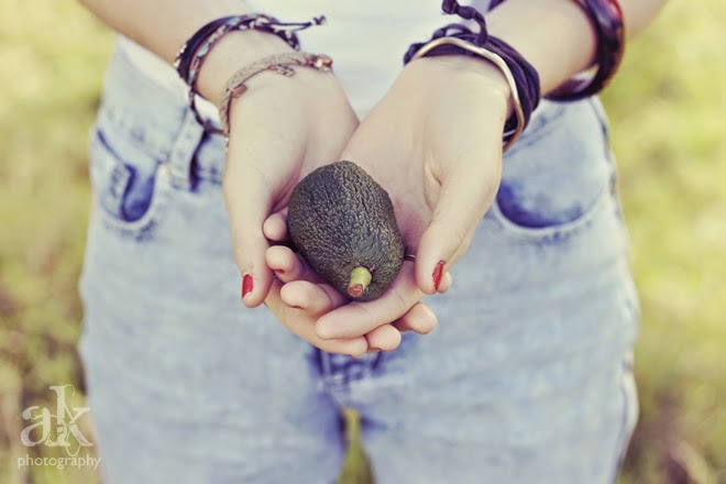 Auckland Adventures | Avocado Orchard | Anjali Kay Photography | New Zealand
