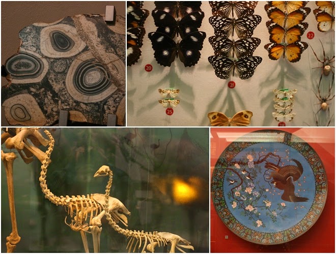 Auckland Adventures. Auckland Museum. New Zealand. Anjali Kay Photography. From L&P to English Tea. 