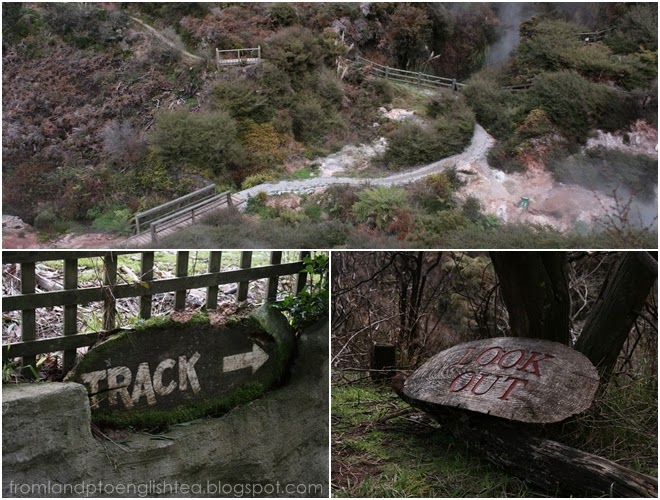 Wairakei Thermal Park. New Zealand. Anjali Kay Photography. 
