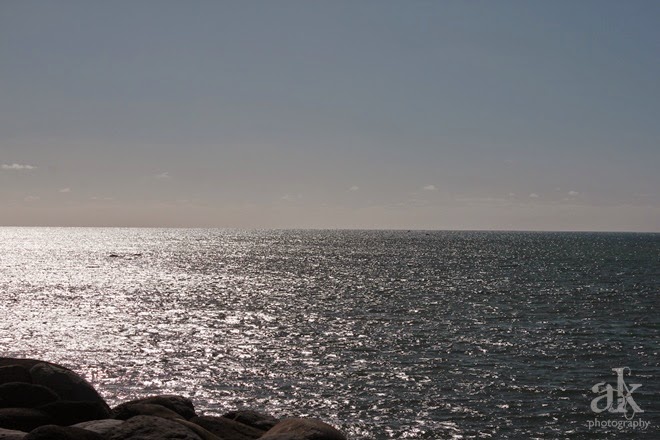 Taranaki Adventures IV :: New Plymouth