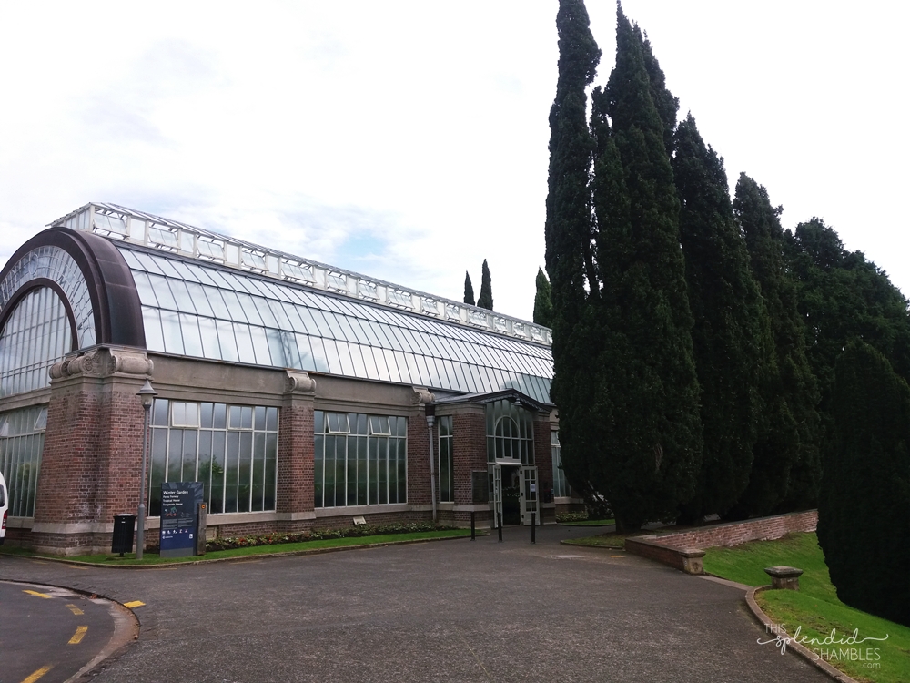 auckland wintergardens