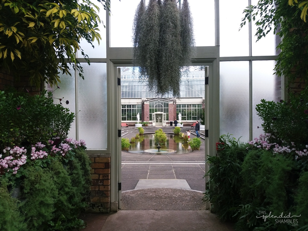auckland wintergardens