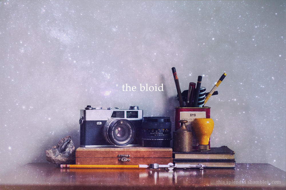 The bloid