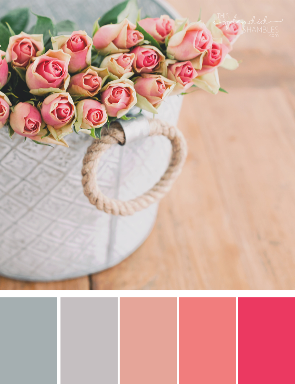 Colour Cluster | A Rose By Any Other Name