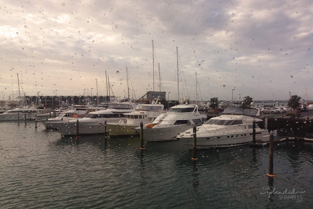 boat party 