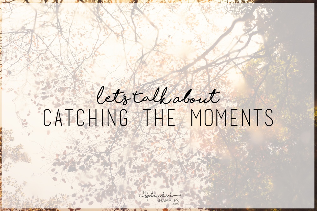 catching the moments