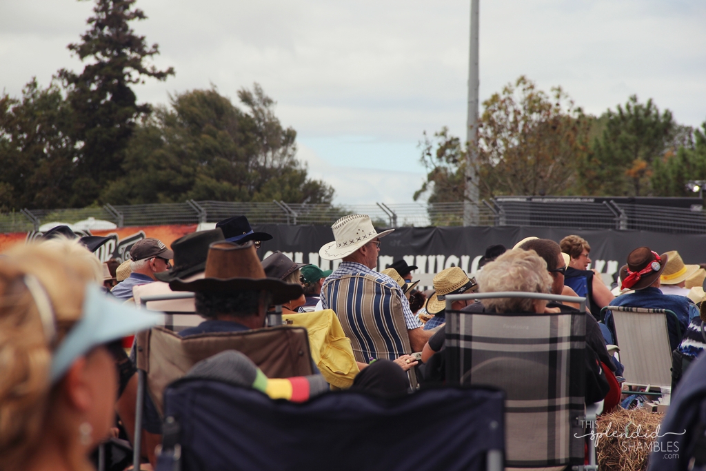 Stampede Music Festival NZ