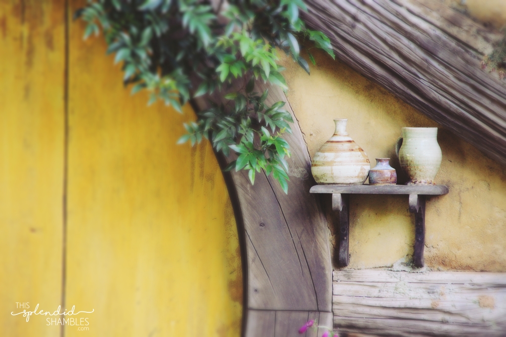 3 reasons Hobbiton is worth a second visit