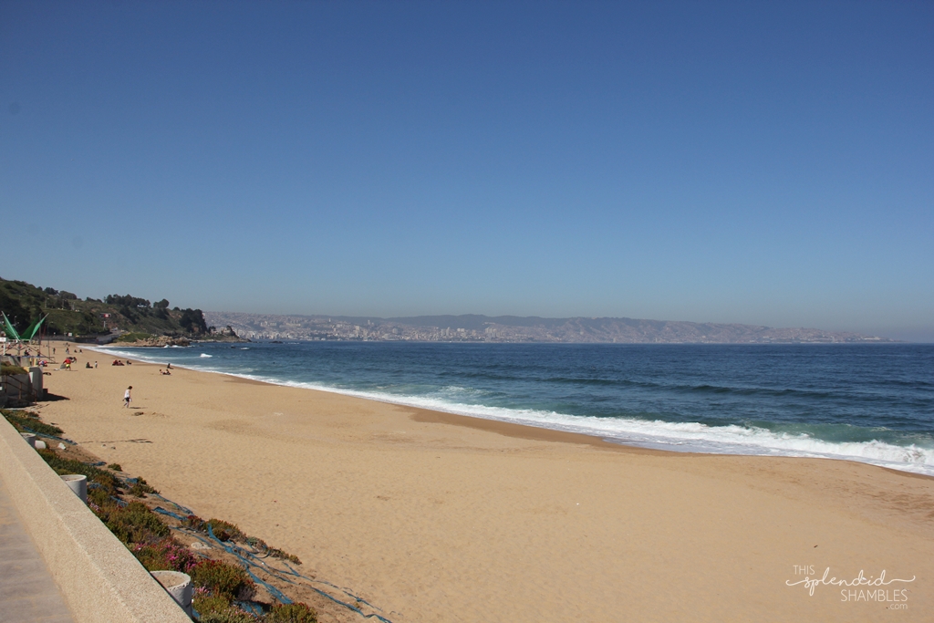 Vina Del Mar and Valparaiso, Chile.