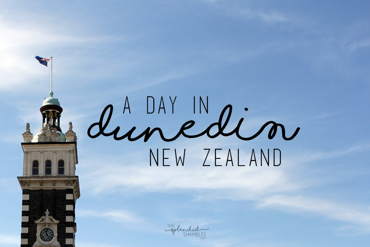 dunedin new zealand