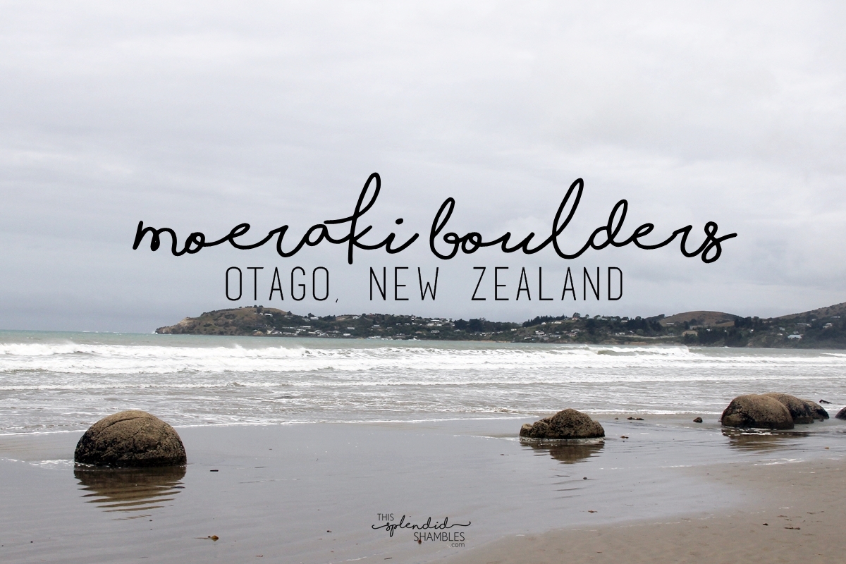 moeraki boulders otago new zealand