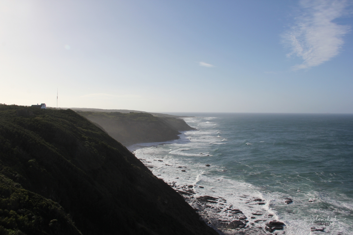 View from Cape Otway Lighthouse, Great Ocean Road, Victoria, Australia.