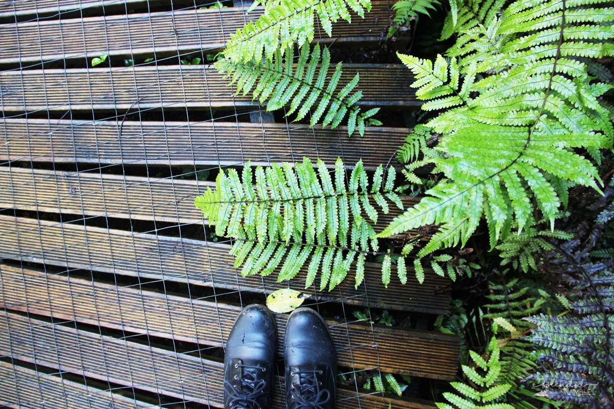Brick Bay Sculpture Trail 2018
