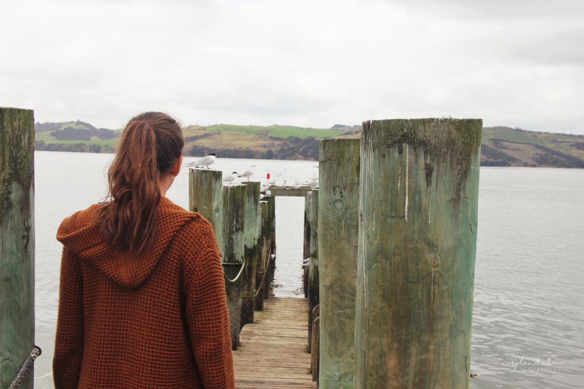 Kaipara Harbour New Zealand