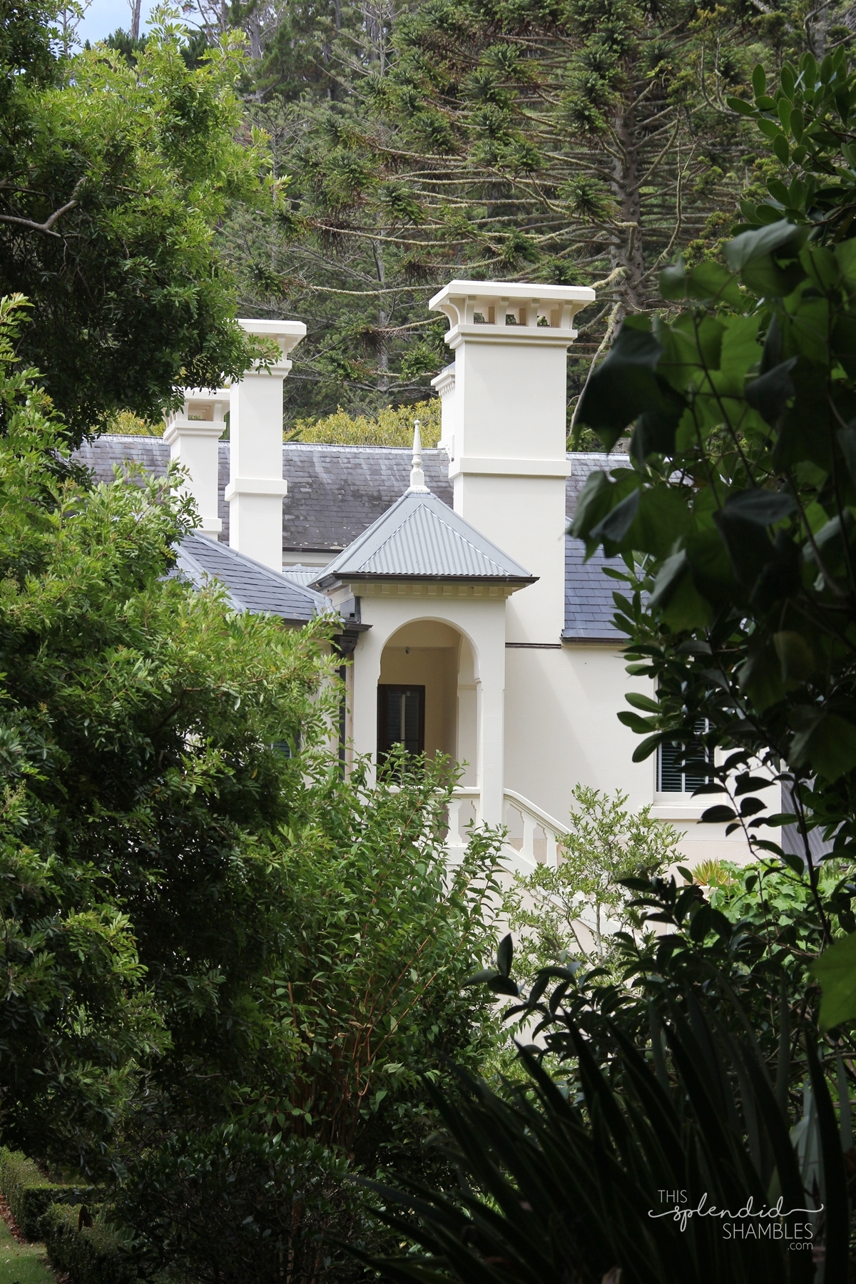 Kawau Island in the Hauraki Gulf, Auckland, New Zealand