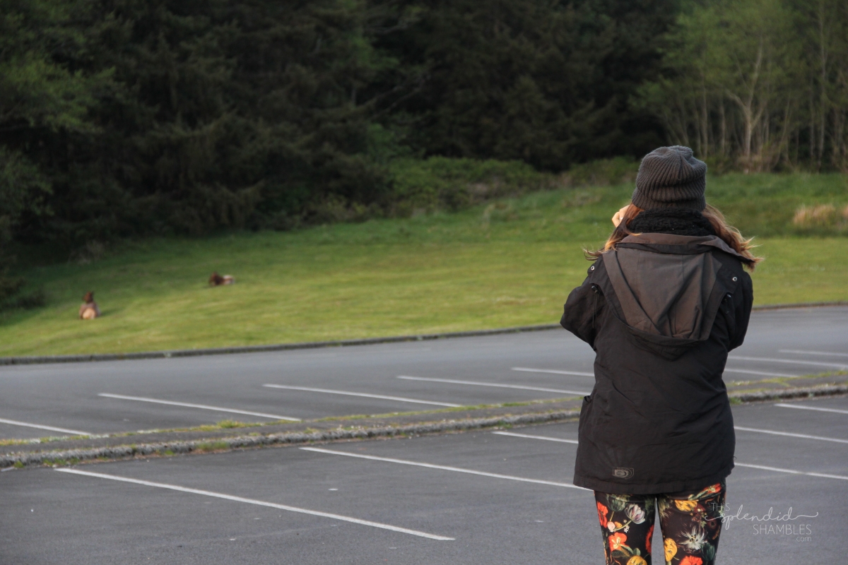 Woman in a black jacket and floral pants, pant to the camera, taking a photo of some elk in Ecola State Park, near Cannon Beach. 