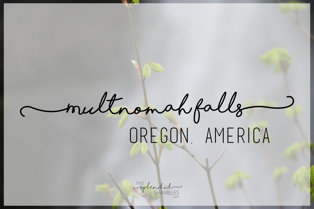 Multnomah Falls in Oregon America - This Splendid Shambles