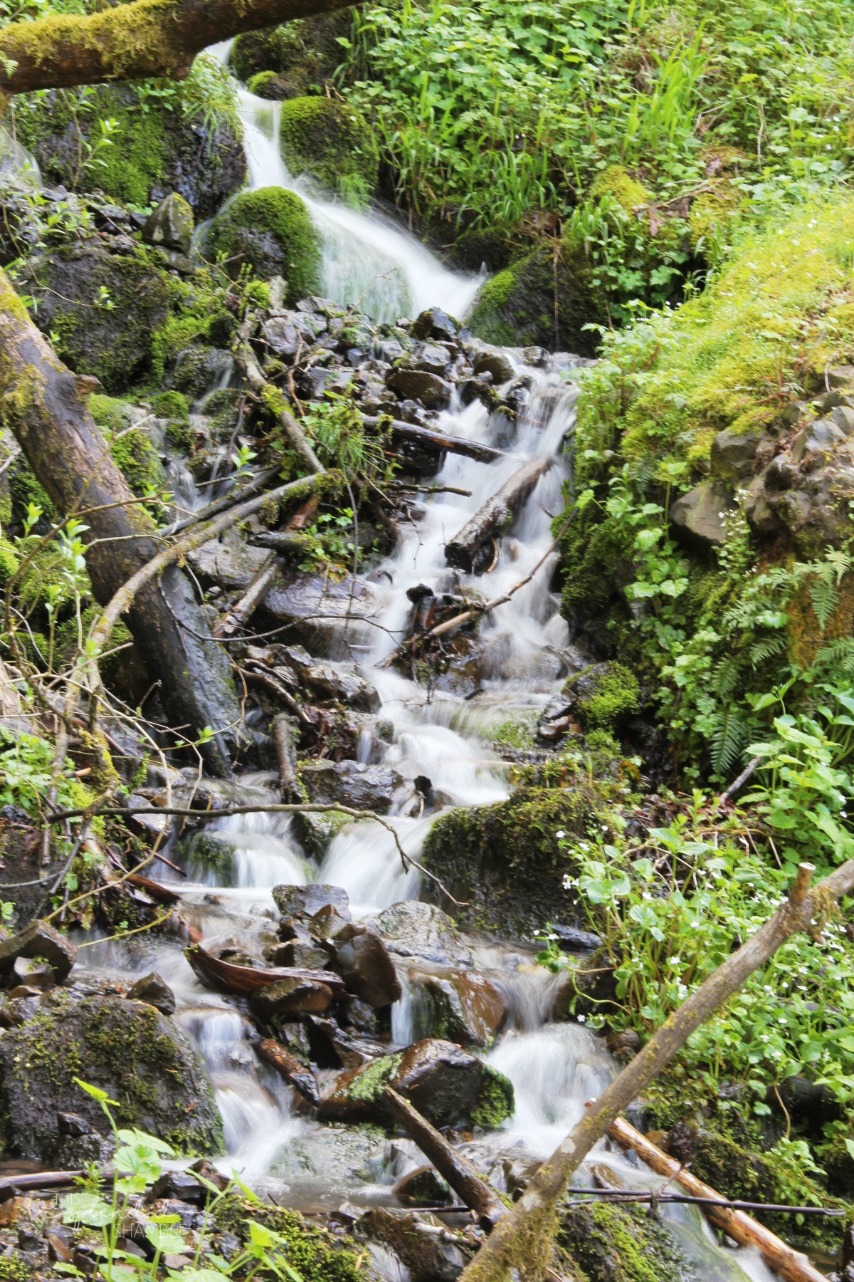 Multnomah Falls in Oregon America - This Splendid Shambles