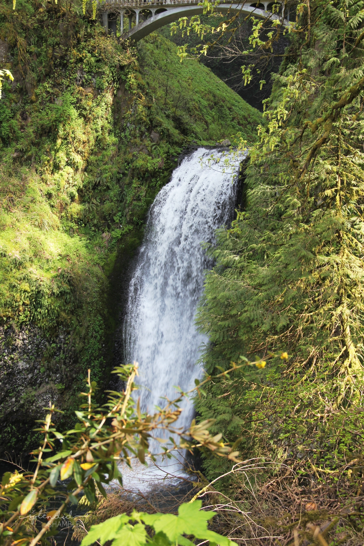 Multnomah Falls in Oregon America - This Splendid Shambles