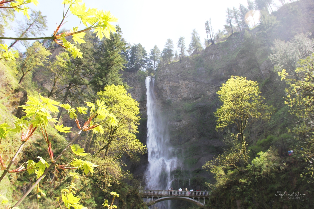 Multnomah Falls in Oregon America - This Splendid Shambles