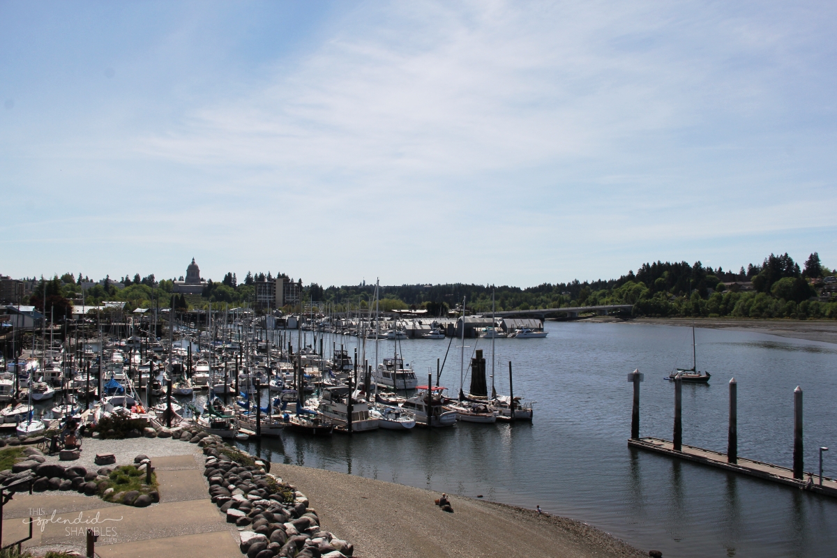 Olympia and the State Capitol in Washington on This Splendid Shambles