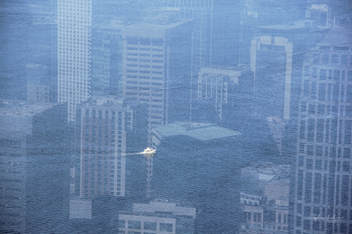 A trip to Seattle Washington on This Splendid Shambles