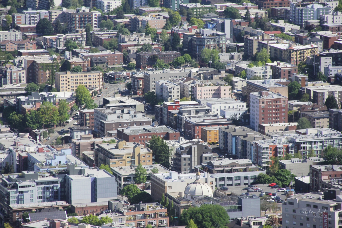 A trip to Seattle Washington on This Splendid Shambles