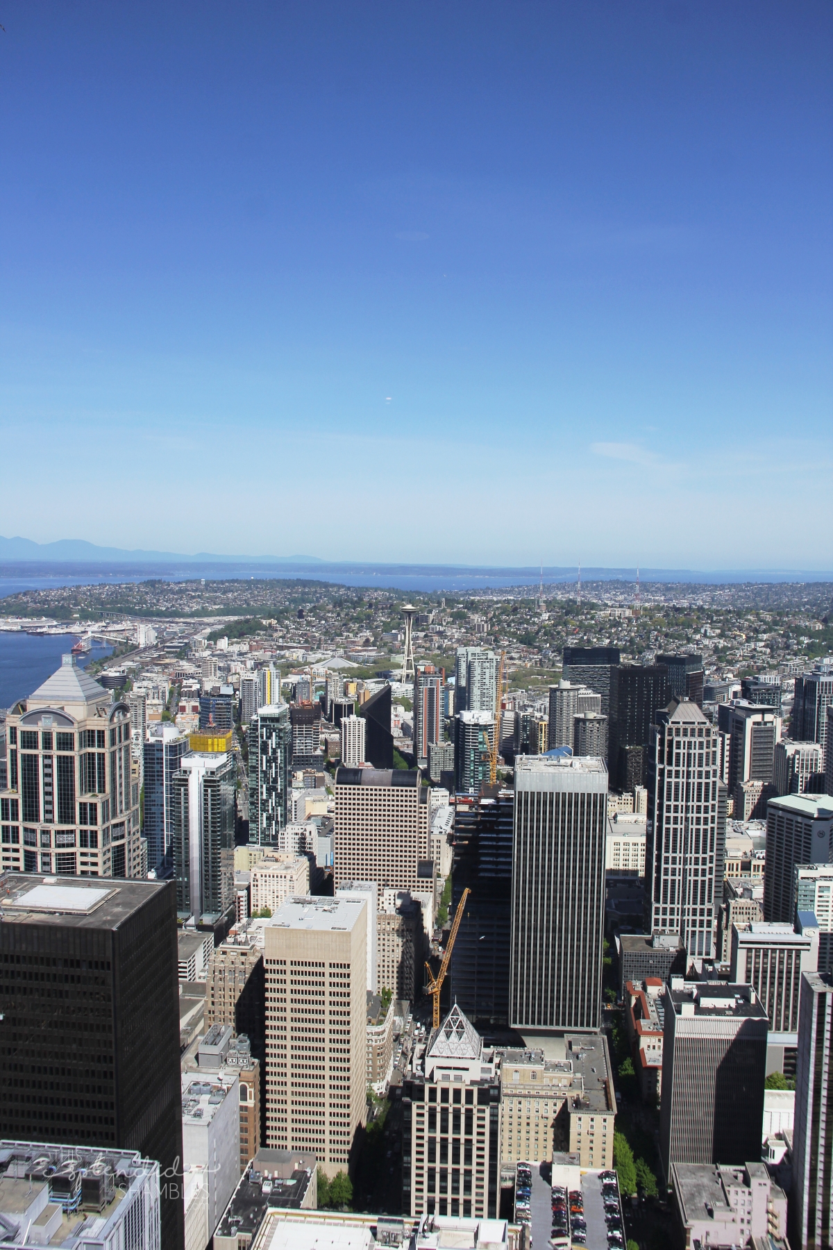 A trip to Seattle Washington on This Splendid Shambles