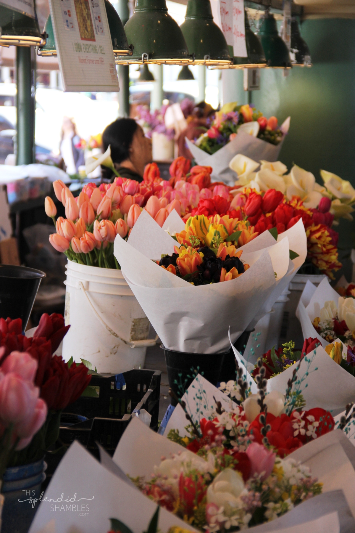 A trip to Seattle Washington on This Splendid Shambles Pike Place