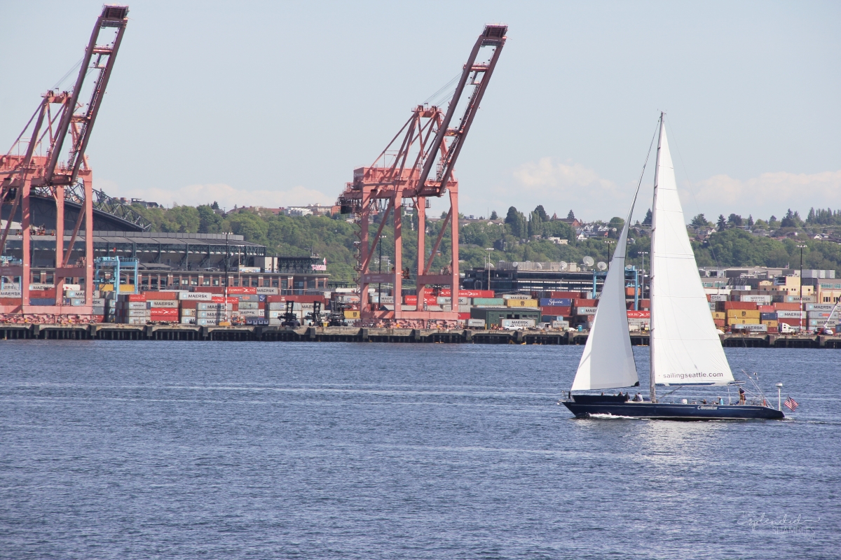 A trip to Seattle Washington on This Splendid Shambles