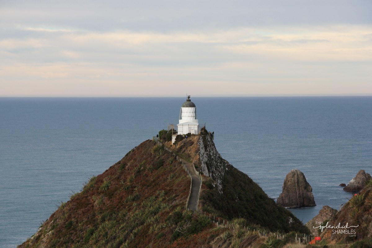 Nugget Point Lighthouse Otago New Zealand This Splendid Shambles