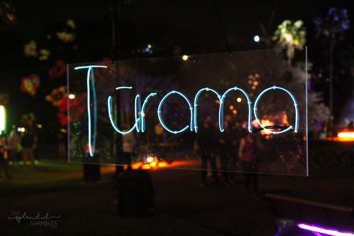 Turama Festival 05 Auckland This Splendid Shambles Blog 