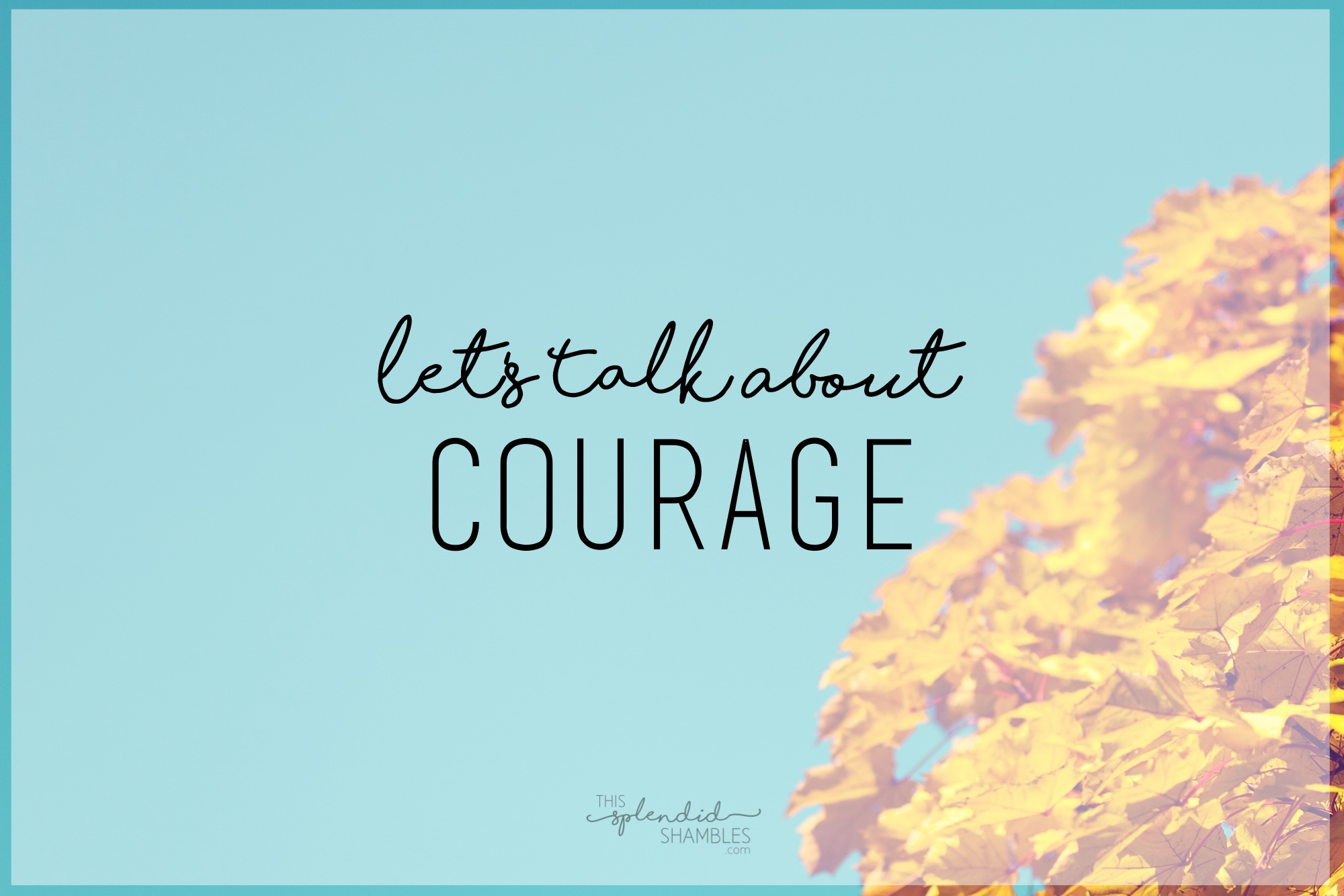 Let's Talk About Courage on This Splendid Shambles