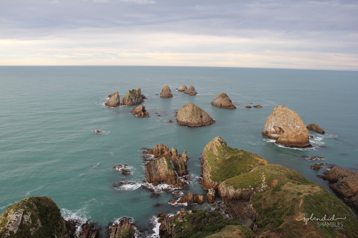 Nugget Point Lighthouse Otago New Zealand This Splendid Shambles