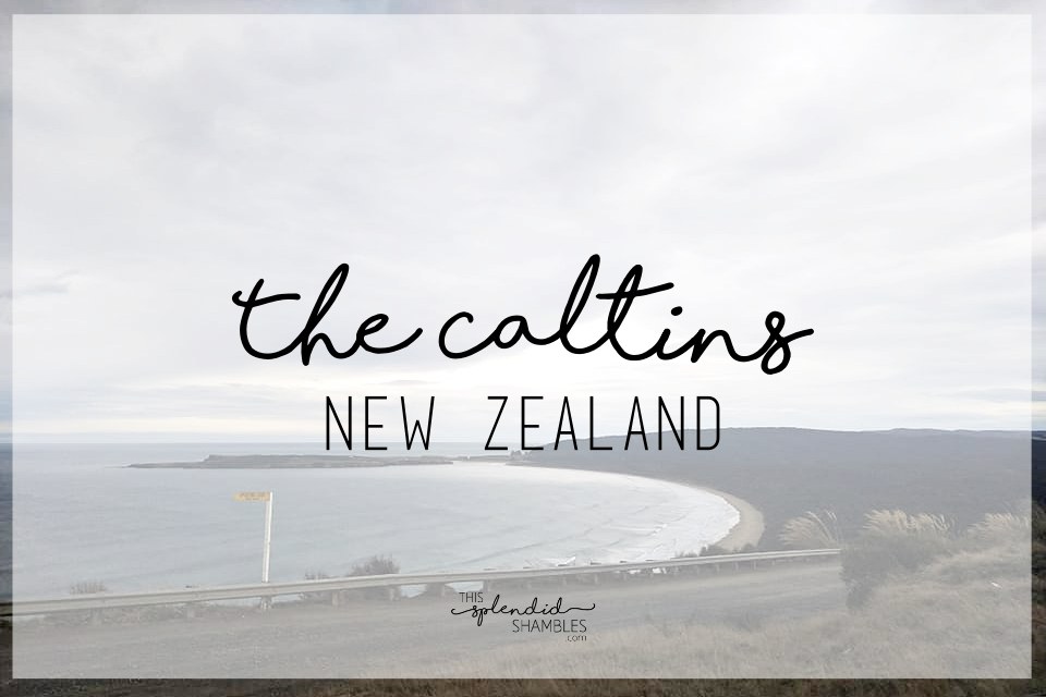 Visit The Catlins Otago Southland New Zealand This Splendid Shambles