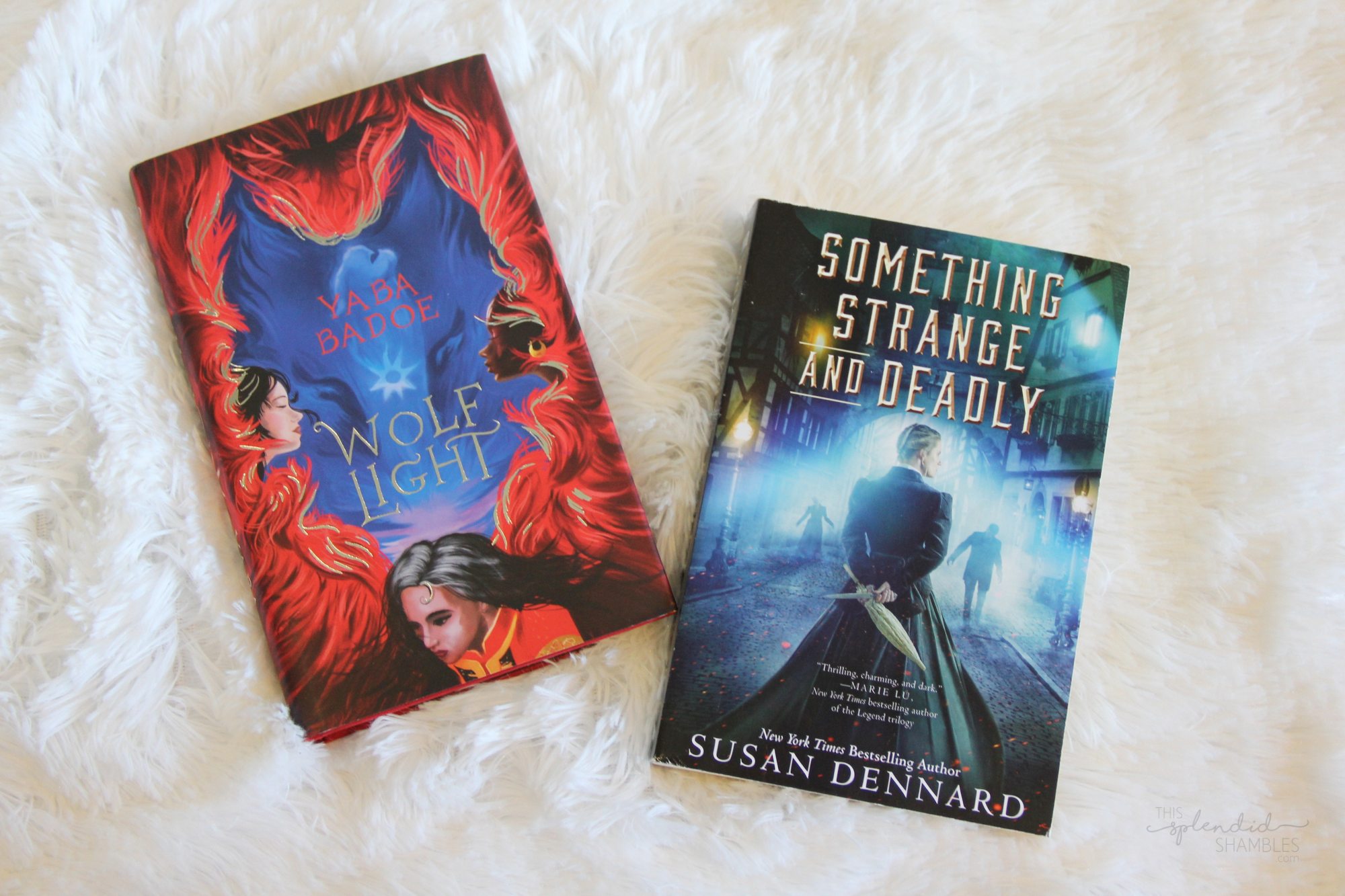 Book Haul 66 This Splendid Shambles