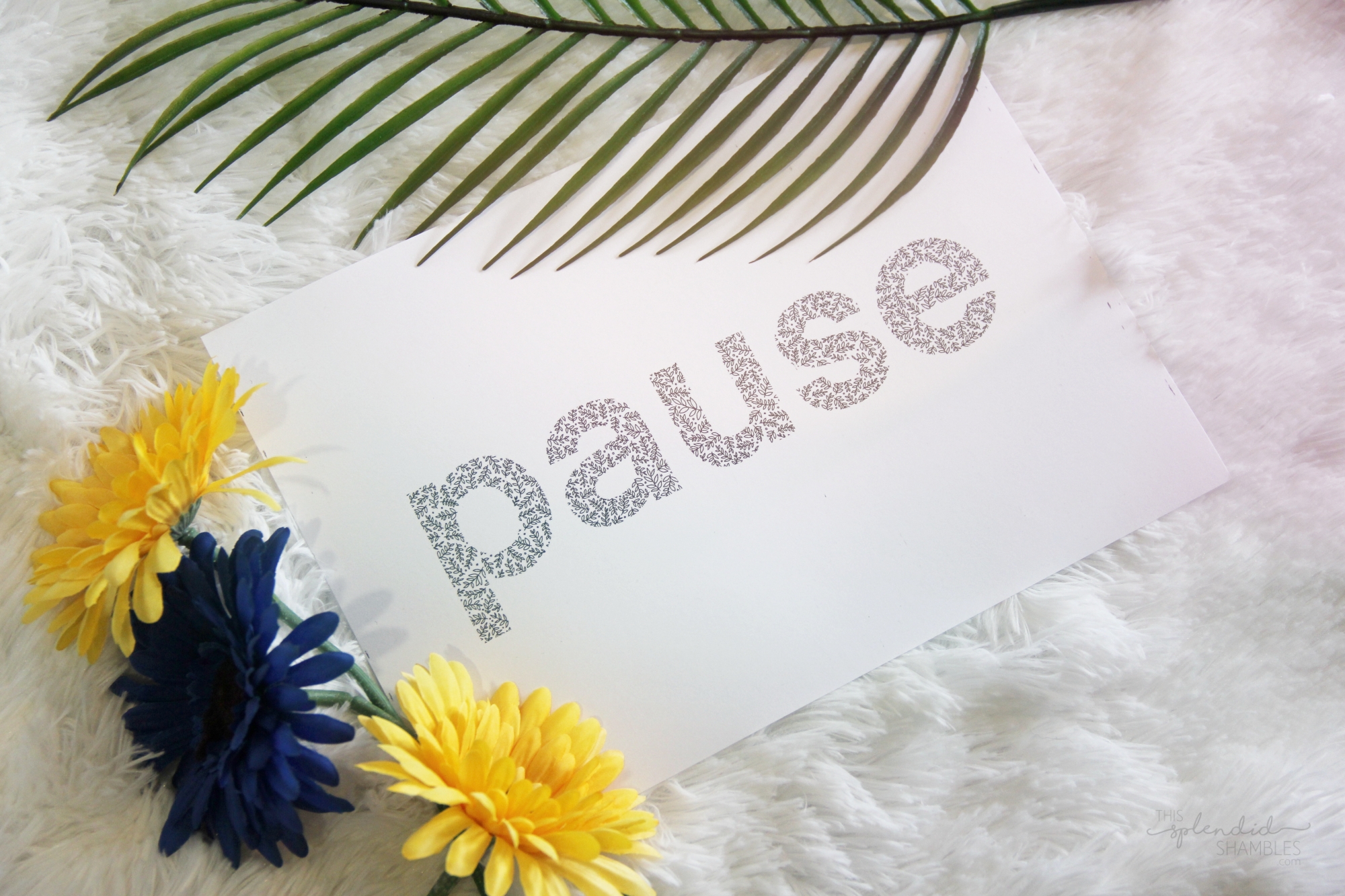 Pause during COVID-19 self isolation